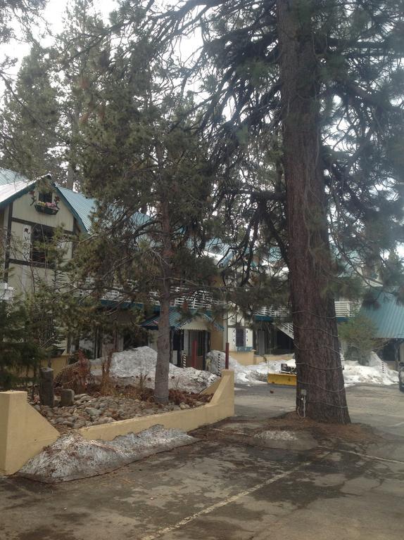 Tahoe Chalet Inn, The Theme Inn Lake Tahoe Airport 外观 照片